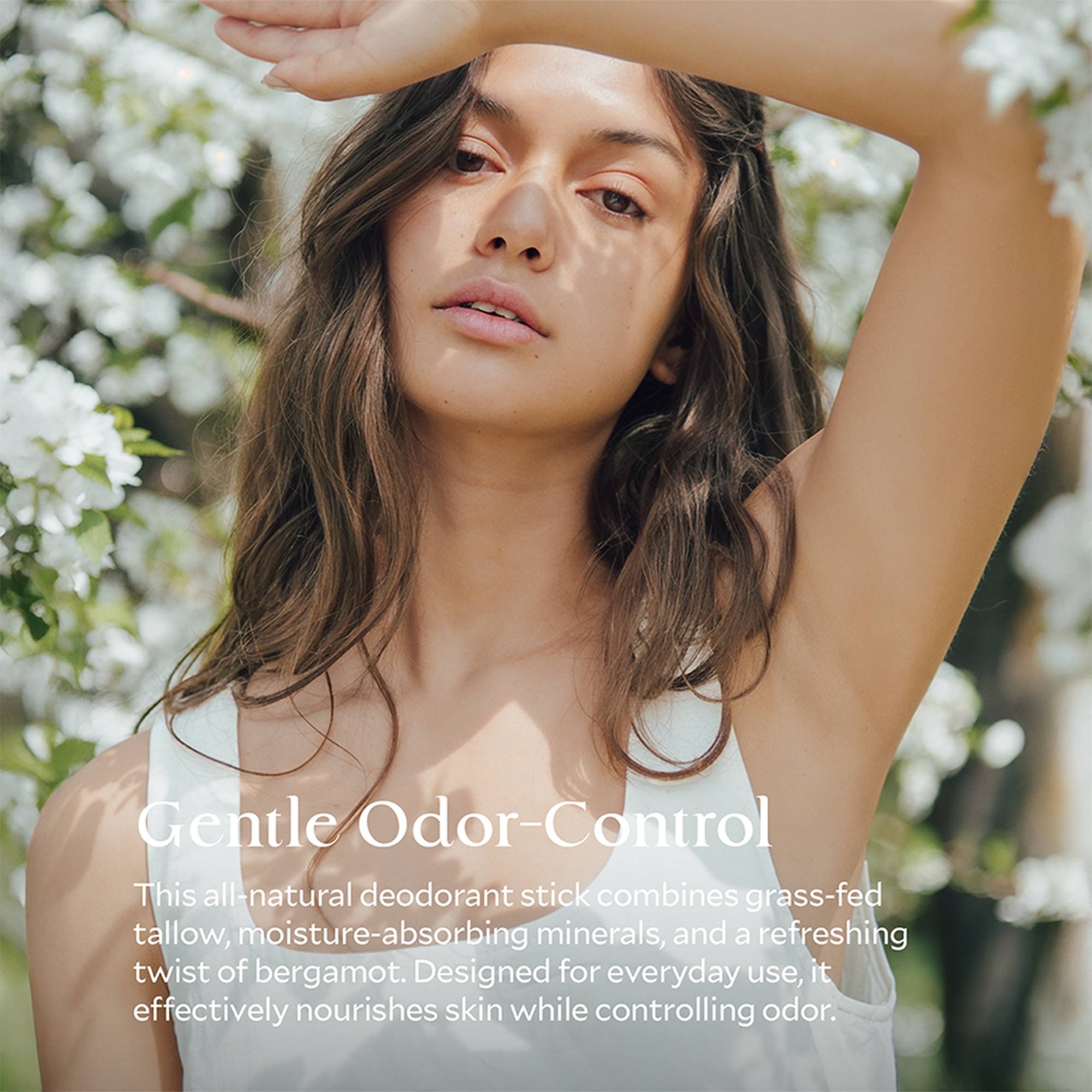 Natural Tallow Deodorant Stick