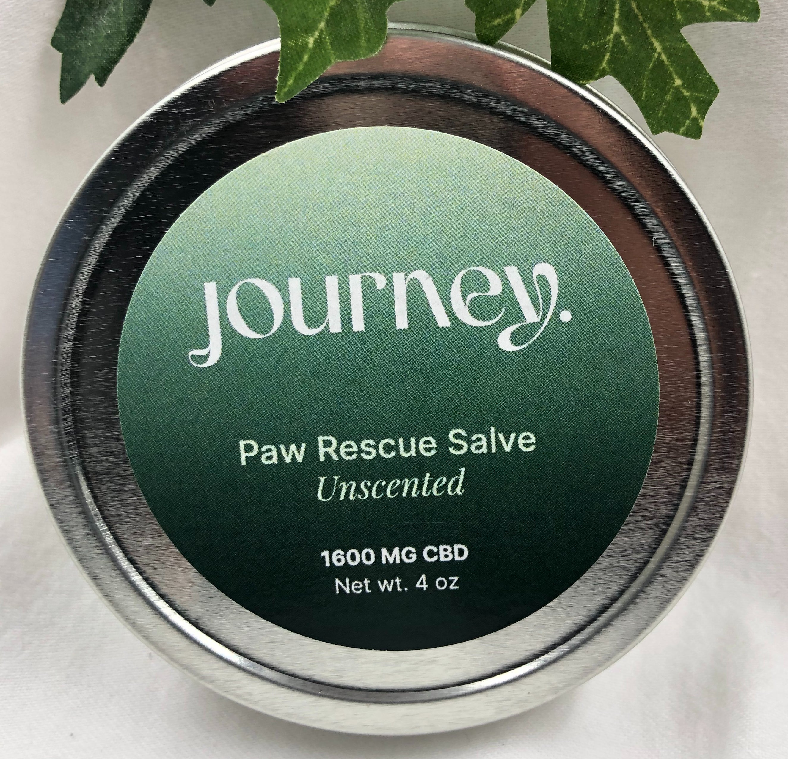 Paw Rescue CBD Salve